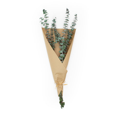 Preserved Baby Eucalyptus Wrapped In Kraft Paper - Green - 4 Ounces (Set of 3 Bunches)