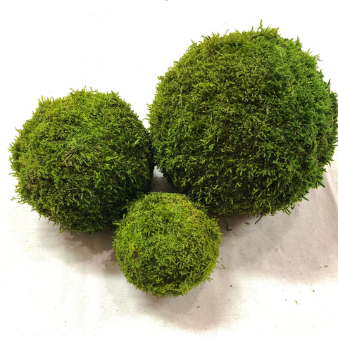 Green Moss Balls - Preserved Sheet Moss - 6 Inch