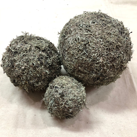 Natural Grey Moss Balls - 4 Inch
