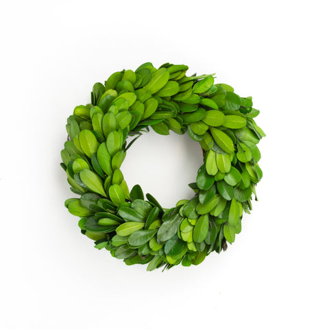 Preserved Boxwood Round Ring - 4.5 Inch - Set of 4