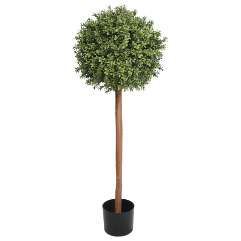 UV Boxwood Ball Tree 16 X 48" Topiary