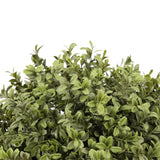 Boxwood Double Ball Topiary UV EverLux 36"