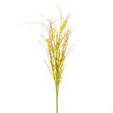 Forsythia dorada en spray: 6 pulverizaciones