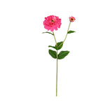 Zinnia Flower and Bloom Stem - 26 Inch - Pink - Set of 6