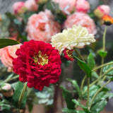 Zinnia Flower and Bloom Stem - 26 Inch - Red - Set of 6