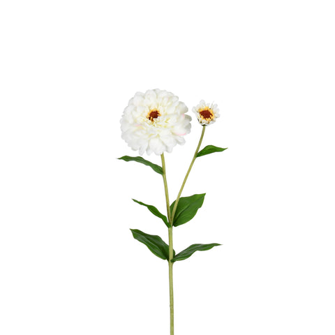 Zinnia Flower and Bloom Stem - 26 Inch - White - Set of 6