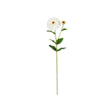 Zinnia Flower and Bloom Stem - 26 Inch - White - Set of 6