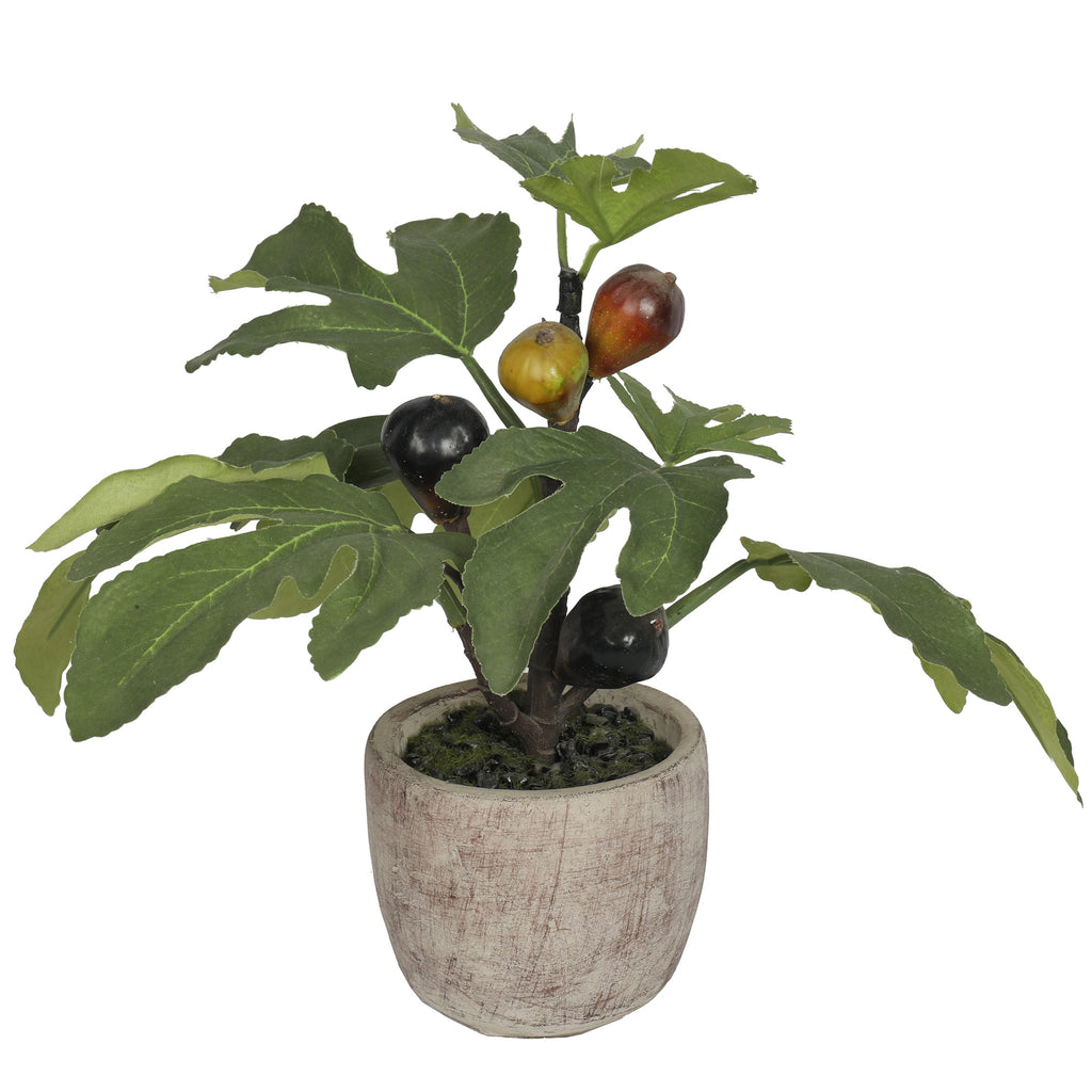 Potted Fig Plant - Artificial - 14 Inch