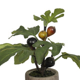 Potted Fig Plant - Artificial - 14 Inch