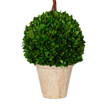 Preserved Boxwood Topiary - Triple Ball - 40 Inch