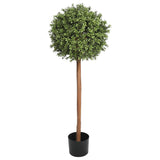UV Boxwood Ball Tree 16 X 48" Topiary