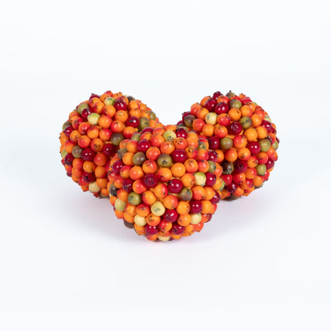Berry Ball - Fiesta - 4 Inch
