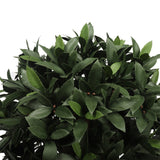 UV Bay Laurel Ball Topiary 30 Inch