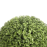 Outdoor UV Boxwood Ball - 16 Inch