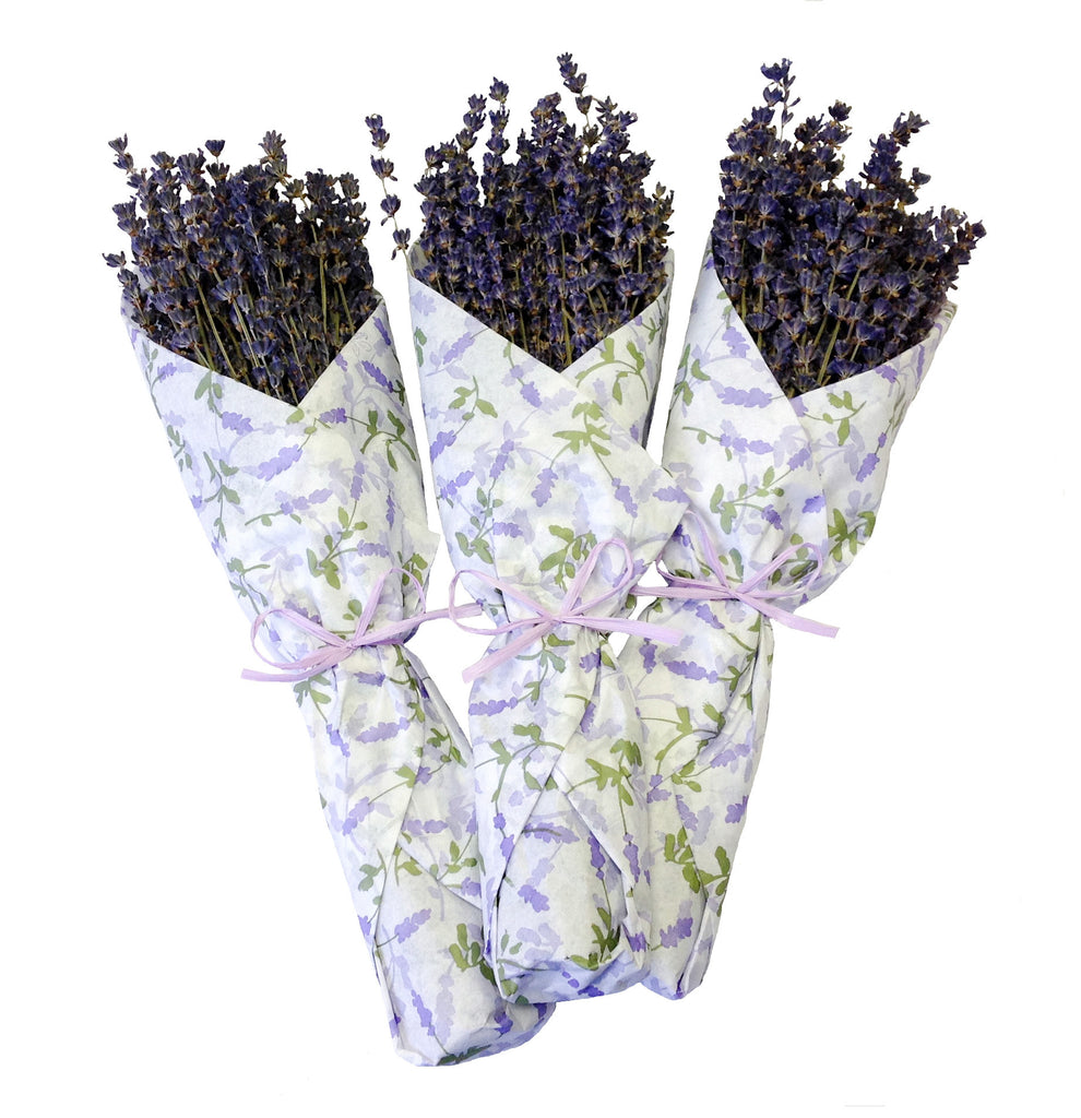 French Lavender In Tissue - set of 6 - Bella Marie