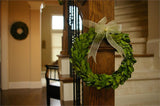 Preserved Boxwood Round Wreath - 8 Inch - Bella Marie - 4