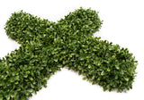 Outdoor UV Boxwood Cross - 26" x 18"