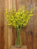 Golden Forsythia Spray- 6 pieces