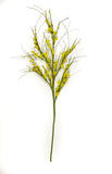 Forsythia dorada en spray: 6 pulverizaciones