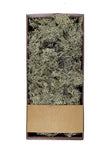 Natural Grey Moss - Bulk - 1.5 lbs