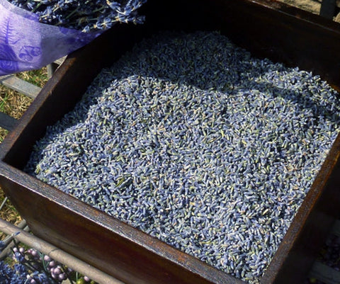 Lavender Buds - Bulk Bag