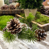 Pine Cone Branch 26" (Set of 3)