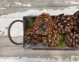 Pine Cone Pinea - Natural - 12 Pieces