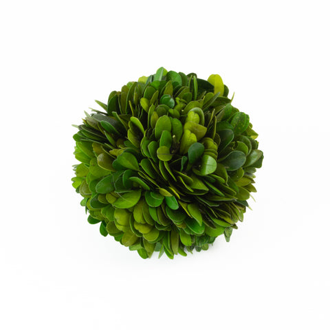 Preserved Boxwood Ball - 4 Inch - Set of 3