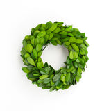 Preserved Boxwood Round Ring - 4.5 Inches (Set of 4)