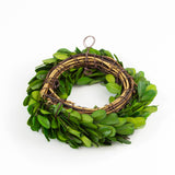 Preserved Boxwood Round Ring - 4.5 Inch - Set of 4