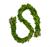 Preserved Boxwood Garland - 70.5 Inches