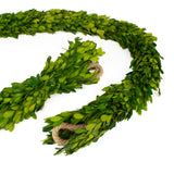 Preserved Boxwood Garland - 70.5 Inches