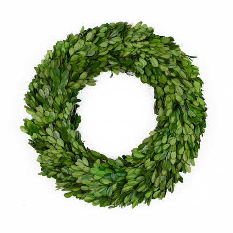 Boxwood Wreath Preserved - 14 Inch