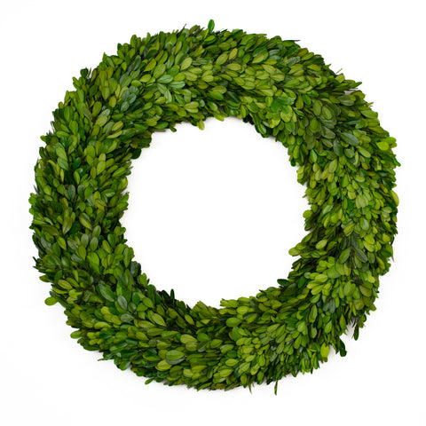 Boxwood Wreath Preserved - 20 Inch