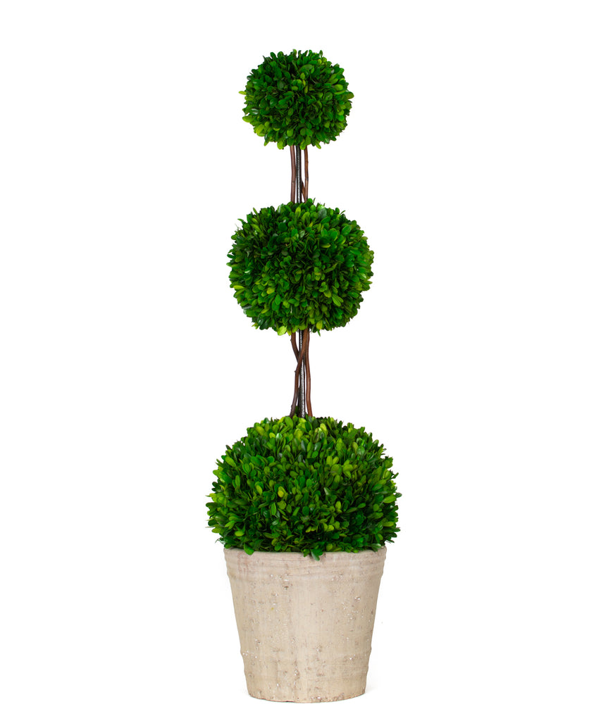 Preserved Boxwood Triple Ball Topiary - 40 Inch