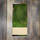 Preserved Green Sheet Moss - Bulk - 1.5 lbs
