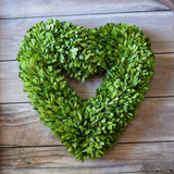 Preserved Boxwood Heart Wreath - 16 Inch - Bella Marie