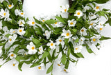 White Daisy Wreath 5198Q0801 Close Up