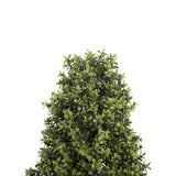 UV Boxwood Oval 24 Inch Topiary