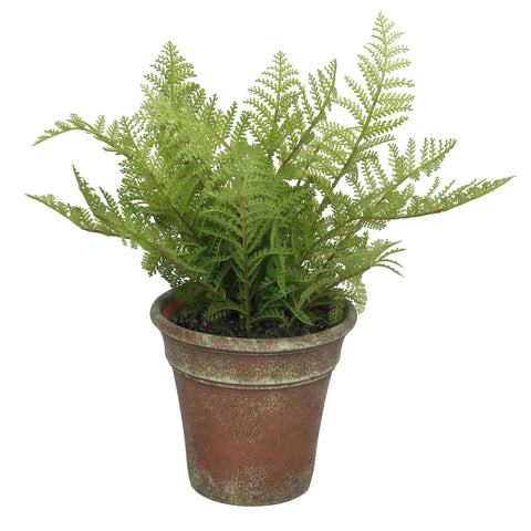 Forest Fern 13" Plant - Artificial