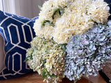 hydrangea stems cream