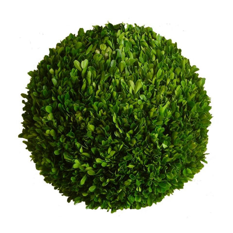 Boxwood Ball Preserved - 22 Inch