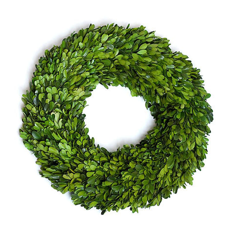 Boxwood Wreath Preserved - 16 Inch