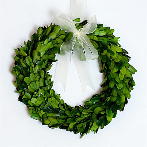 Boxwood Wreath Preserved - 8 Inch (Set of 3)