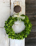 Preserved Boxwood Round Wreath - 8 Inch - Bella Marie - 1
