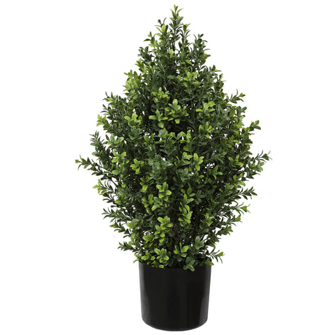 UV Boxwood Shrub 24" Topiary