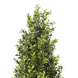 UV Boxwood Shrub 48 Inch Topiary